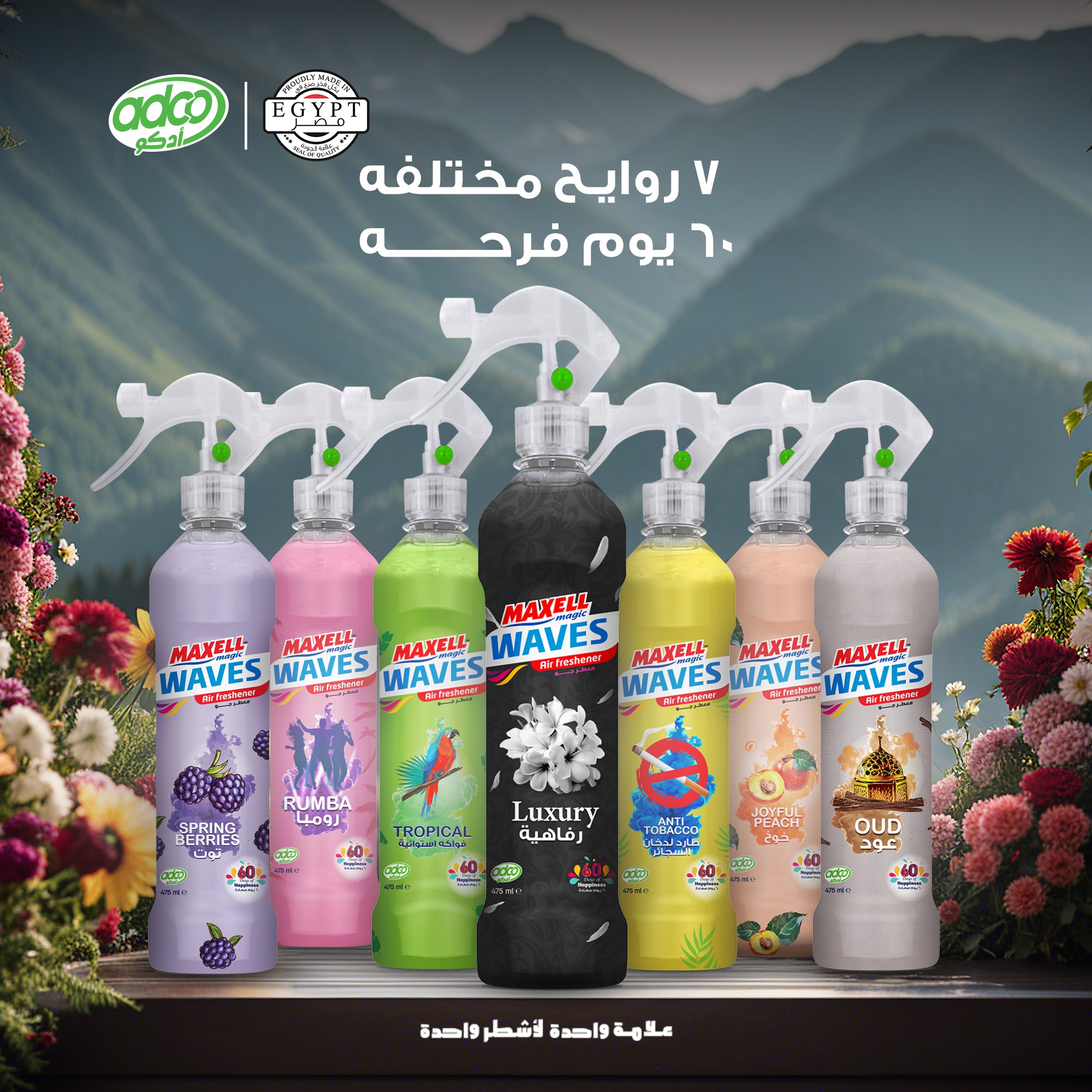 484193844_636952078952599_5476813896279040938_n